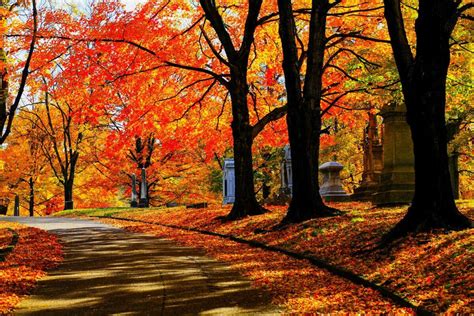 america fall season|where to see fall foliage.